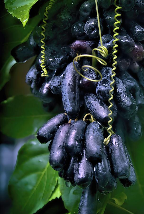 Moon Drop Grapes Photograph