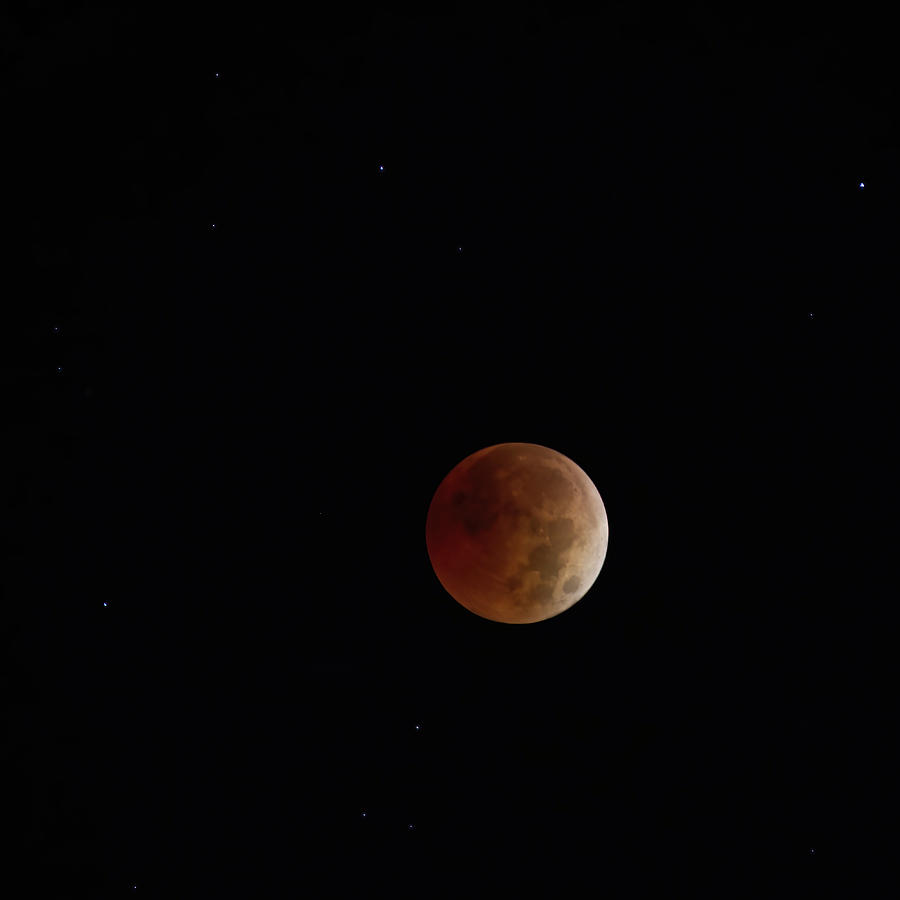 Moon Eclipse - Square Photograph by Flinn Hackett
