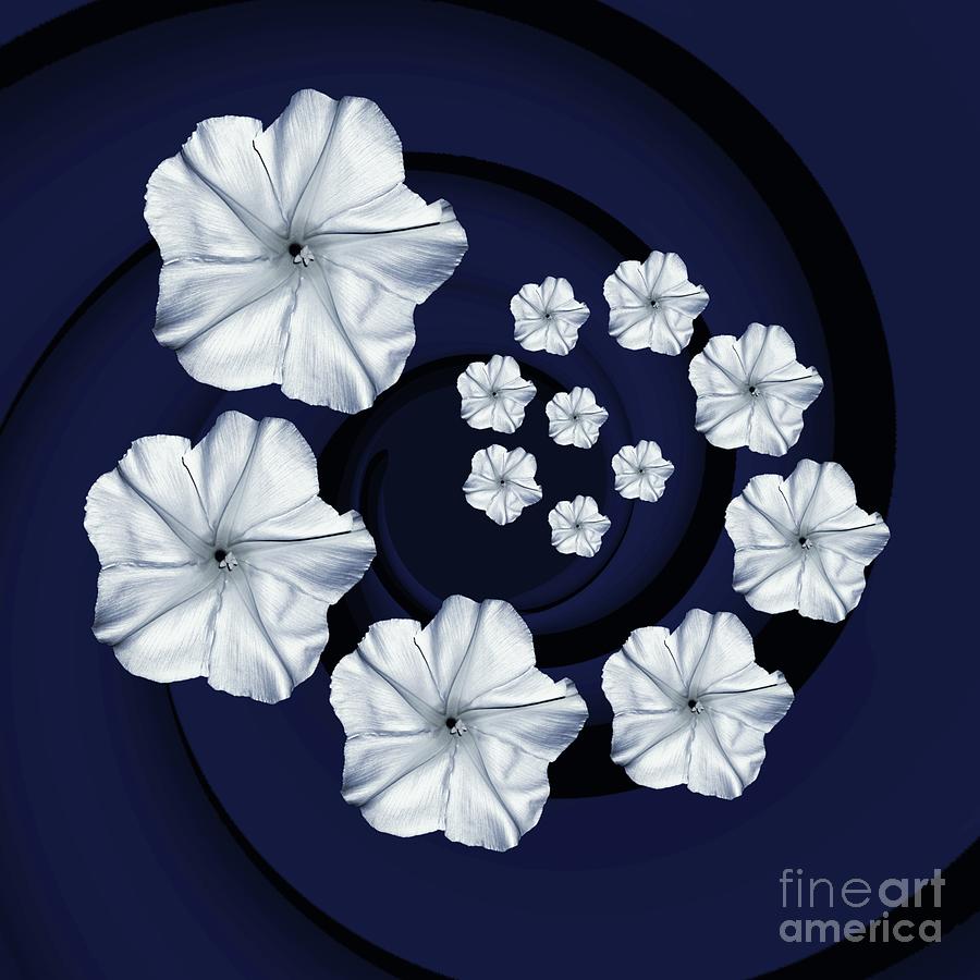Moon Flower Spiral On Navy Blue Digital Art by Rachel Hannah