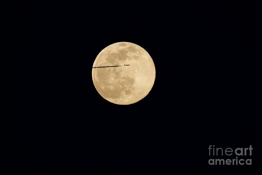 Moon Flyby Photograph by Yvonne M Smith