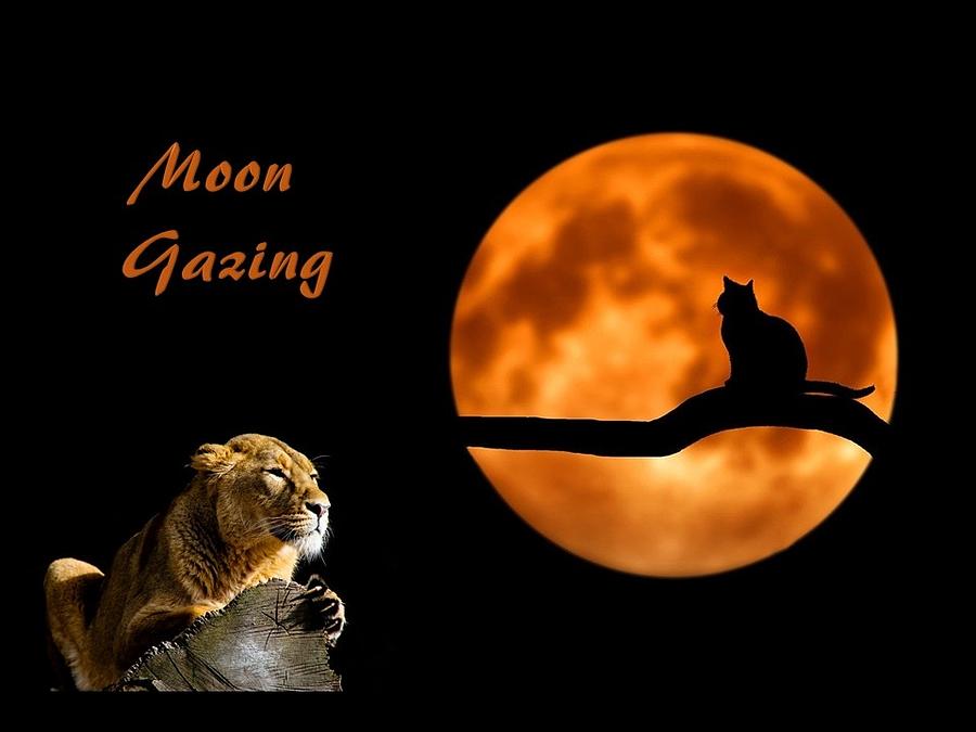 Moon Gazing Mixed Media by Nancy Ayanna Wyatt