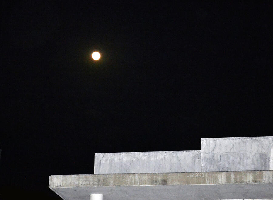 Moon Gazing Photograph by Uma Krishnamoorthy