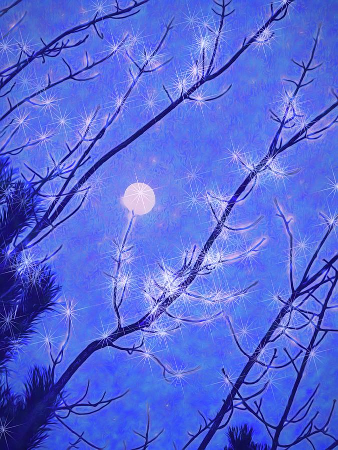 Moon Glow Photograph by Kathy Bassett