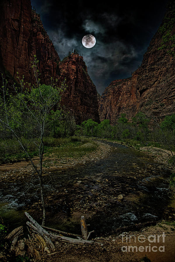 Moon Glow Zion National Park Color  Photograph by Chuck Kuhn