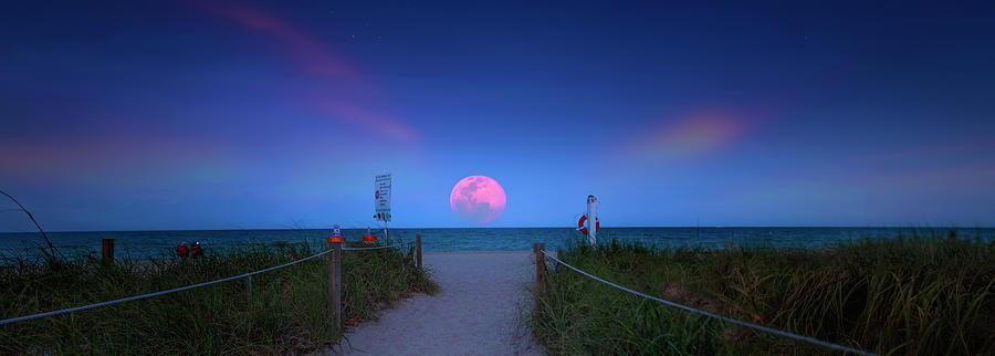 Moon Horizon Photograph by Mark Andrew Thomas