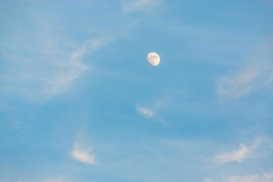 Moon In June 2 Photograph