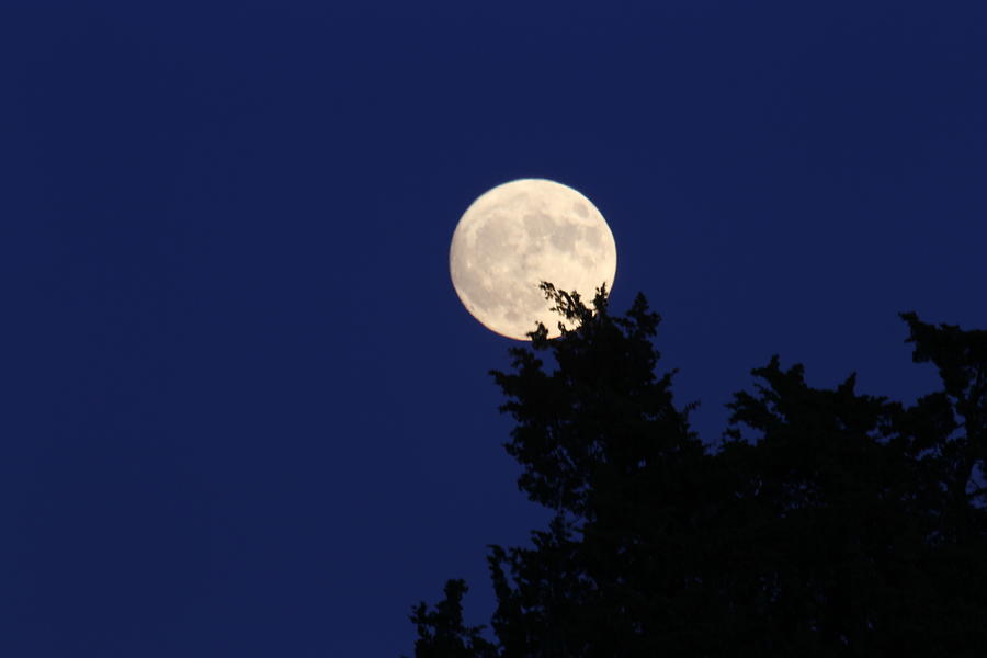 Moon Photograph By Jon Hinds - Fine Art America