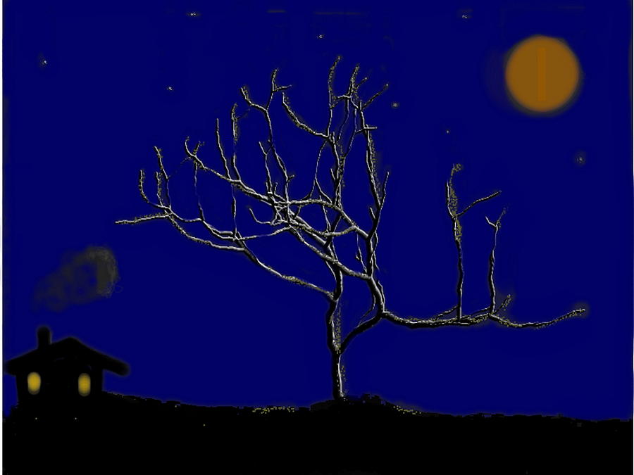Moon light Drawing by Dr Loifer Vladimir