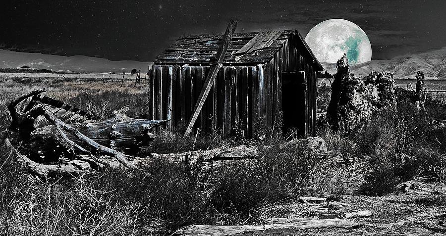 Moon Light  Digital Art by Fred Loring