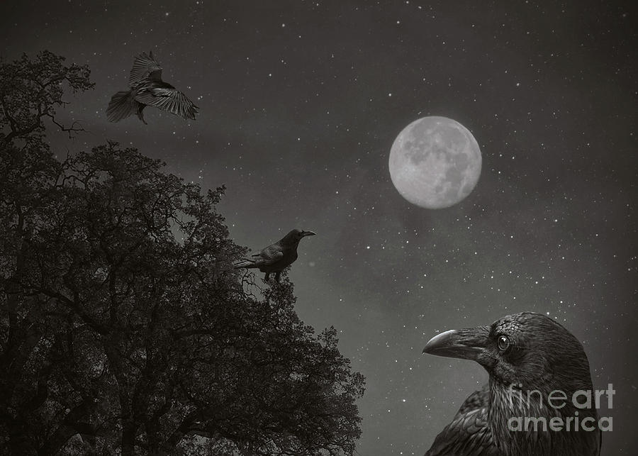 Moon Magic with Ravens Photograph by Stephanie Laird