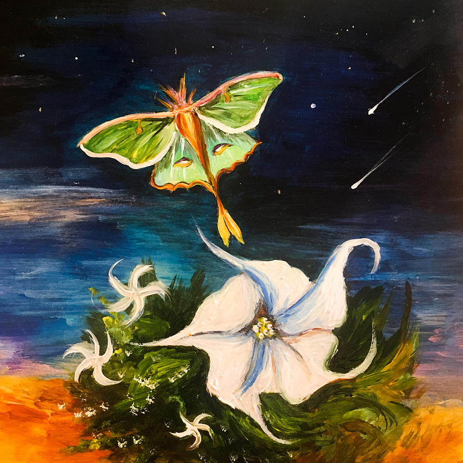 Moon moth and moon flower Painting by Karen Ferrand Carroll