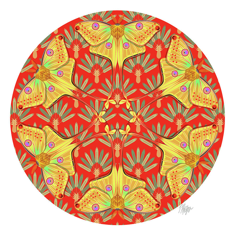 Moon Moth Red Palm Mandala Digital Art by Tim Phelps