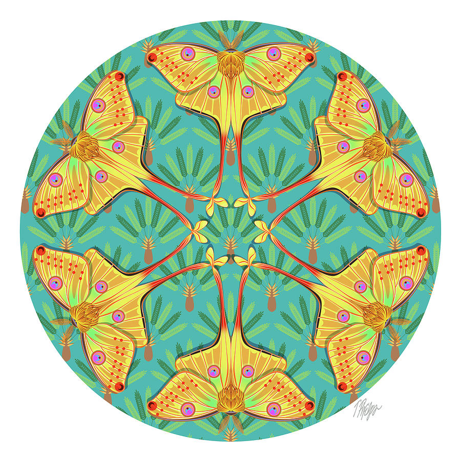 Moon Moth Teal Palm Mandala Digital Art by Tim Phelps