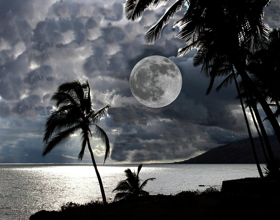 Moon Over Charlie Young Beach Photograph by Daniel Baralt - Fine Art ...