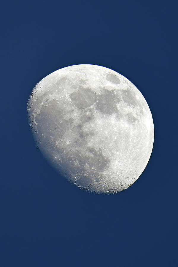 Moon Over Gallo Photograph
