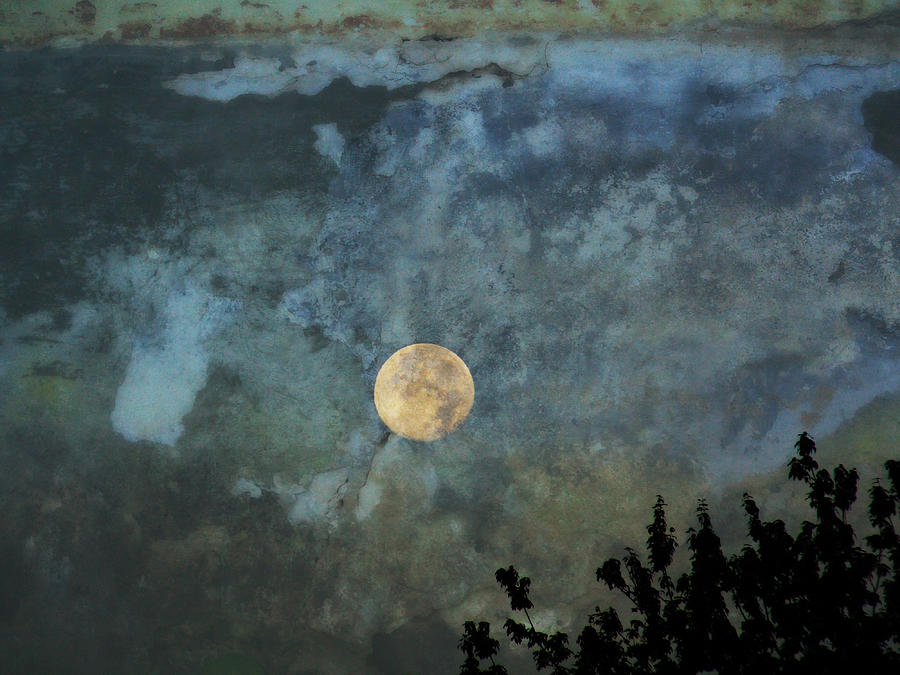 Moon Over Lake Reflection Photograph by Russ Considine