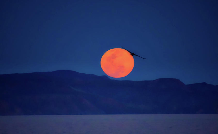 Moon Over Loreto Bay Photograph