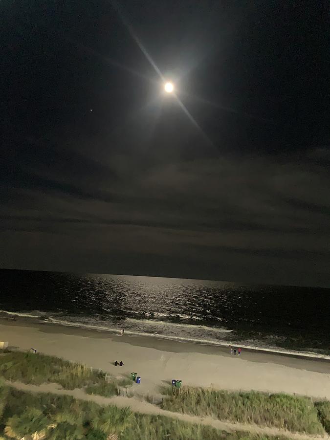 Moon Over Myrtle Beach  Photograph by Lisa White