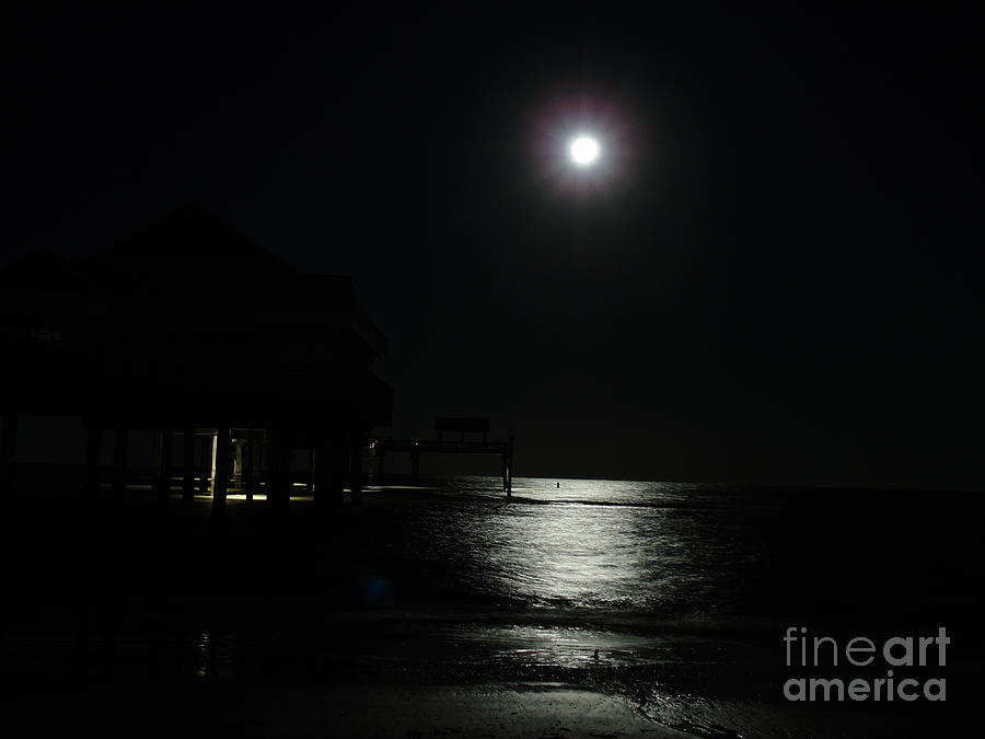 Moon Over Pier 60 Photograph by D Hackett