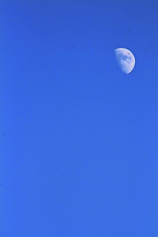Moon Over Pond Mountain Photograph by Lisa Kamolnick