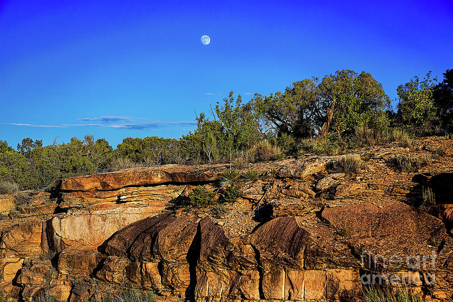 Moon Over Rimrock Photograph by Jon Burch Photography
