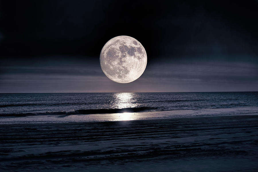 Moon Over The Cape Photograph by Jai Johnson