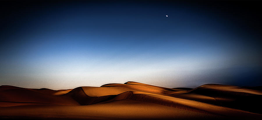 Moon Over the Dunes Photograph by Paul Bartell