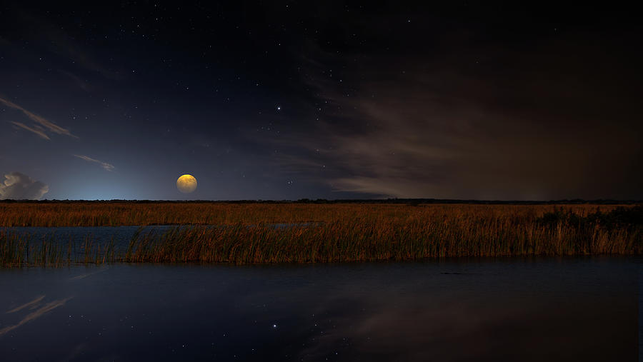 Moon Over The Marsh Photograph