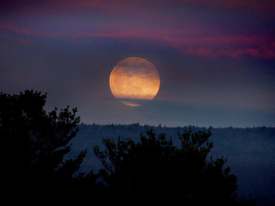 Moon Over the Valley Photograph by Nancy Griswold
