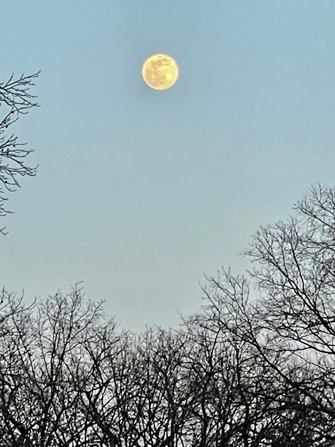 Moon Over Virginia Photograph By Jenn - Fine Art America