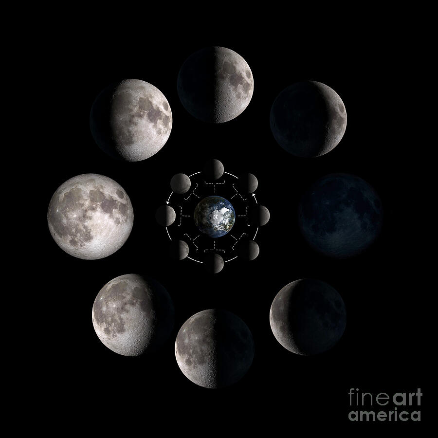 Space Photograph - Moon phases and earth by Best of NASA