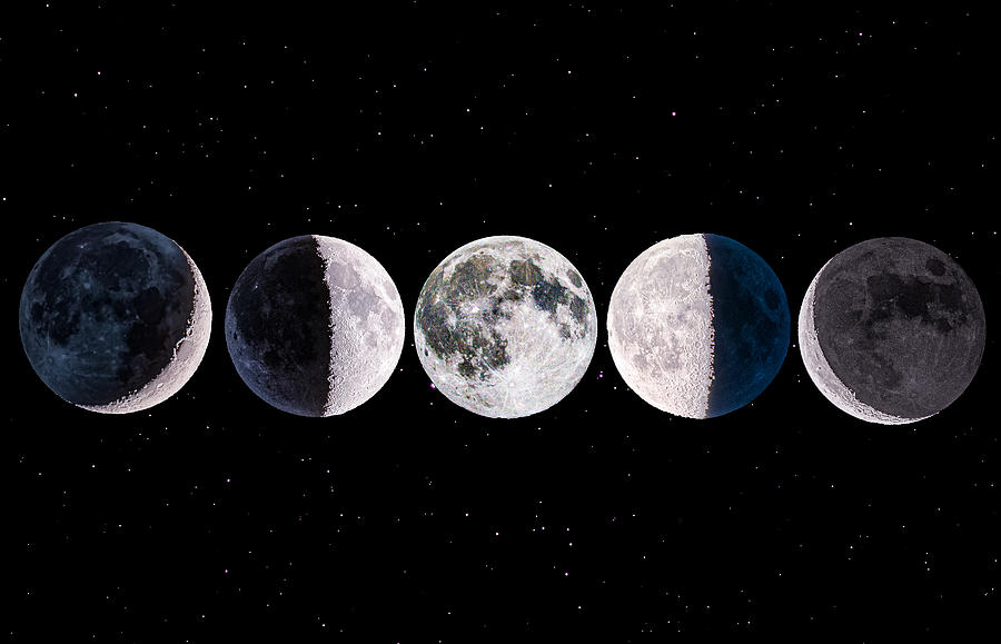 Moon Phases Digital Art by Benjamin Riedmiller - Pixels