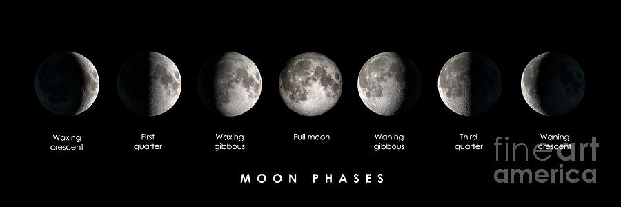 Moon phases Photograph by Delphimages Photo Creations - Fine Art America