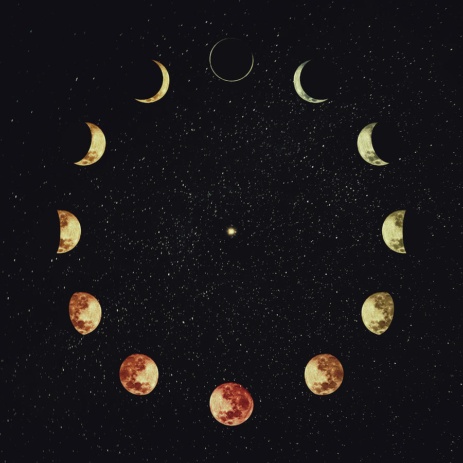 Moon Phases Digital Art