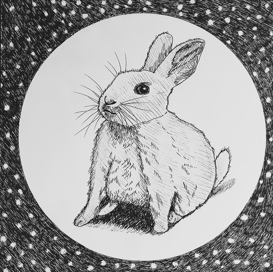 Moon Rabbit Drawing by Lorraine Germaine - Fine Art America
