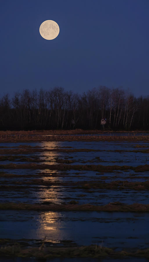 Moon Reflections Photograph by Brook Burling