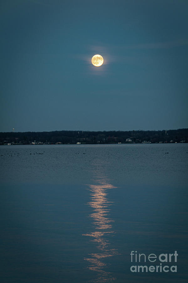 Moon Reflections Photograph by William Norton