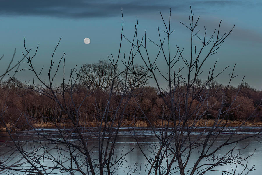 Moon Rise At Dusk Photograph by Ed Peterson