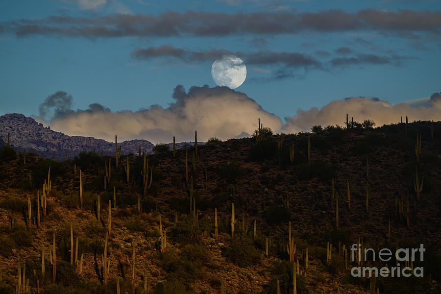 Moon Rise at Goldmine Trail Head Photograph by Lisa Manifold