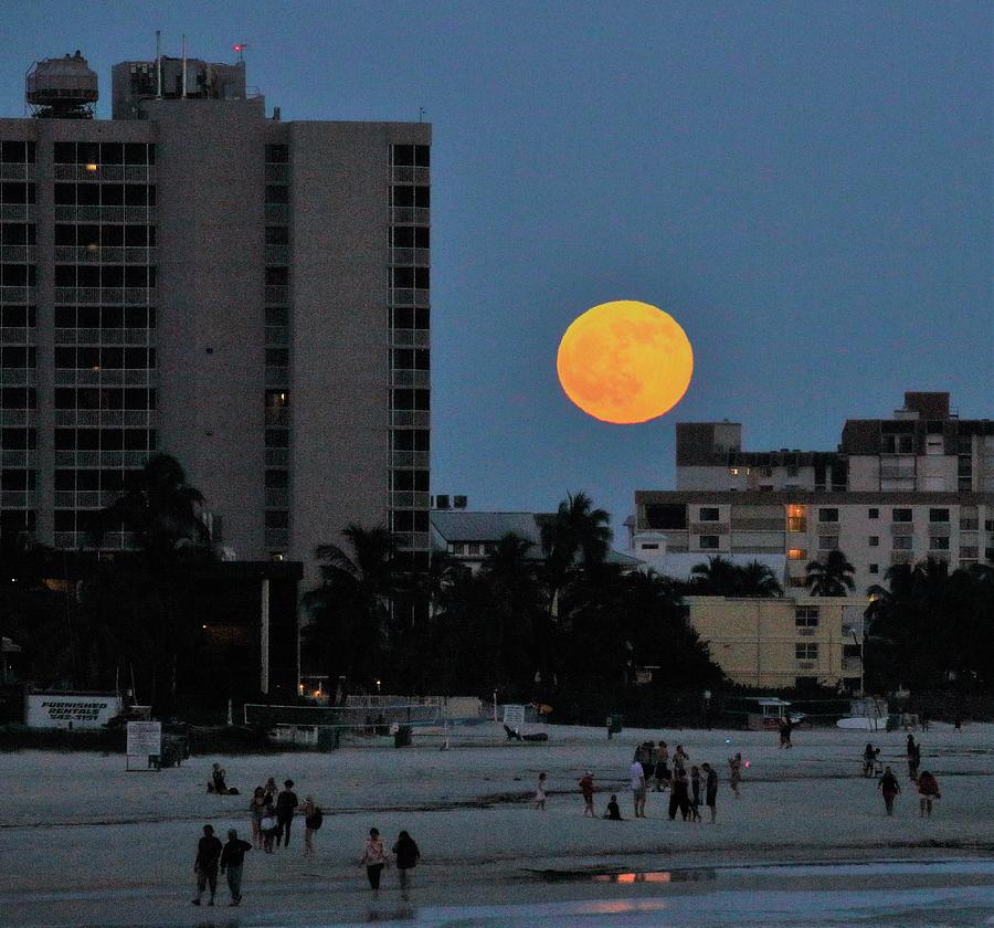 Moon Rise Photograph by Mingming Jiang