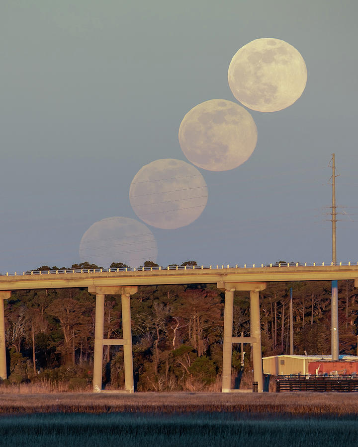 Moon Rise Photograph by Nick Noble