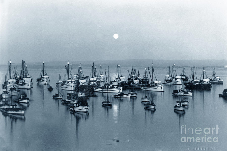 Over Photograph - Moon rise over Monterey Bay by Lewis Josselyn of Carmel. Circa 1930 by Monterey County Historical Society