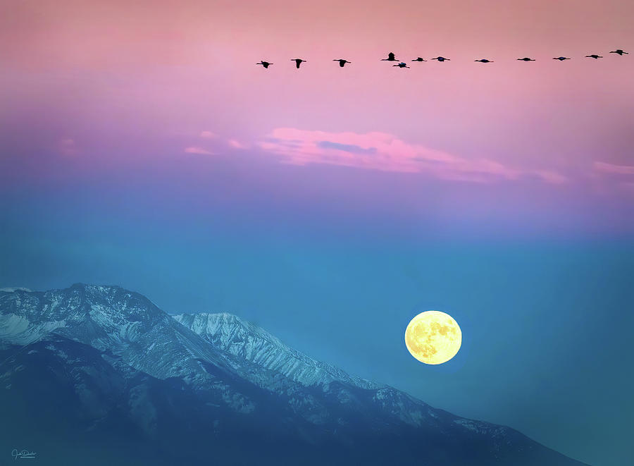 Moon rise over Mt Blanca Photograph by Judi Dressler