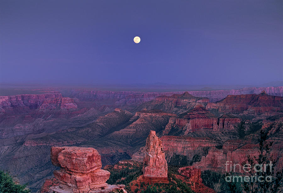 Moon Rise Over Point Imperial North Rim Grand Canyon National Park Arizona Photograph by Dave Welling