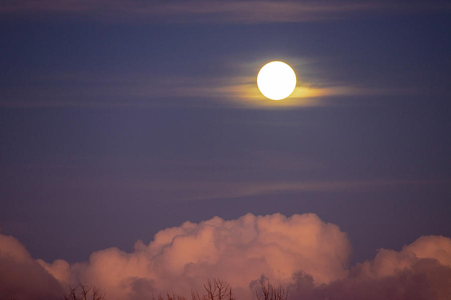 Moon Rise Over South Florida Photograph by Blair Damson