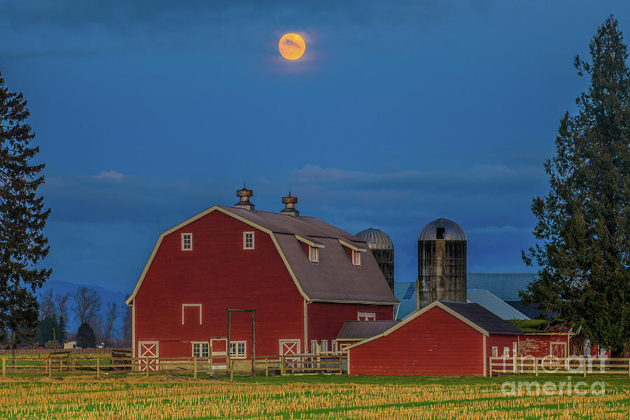 Moon Rise over the Red Barn Photograph by Randy Small - Fine Art America