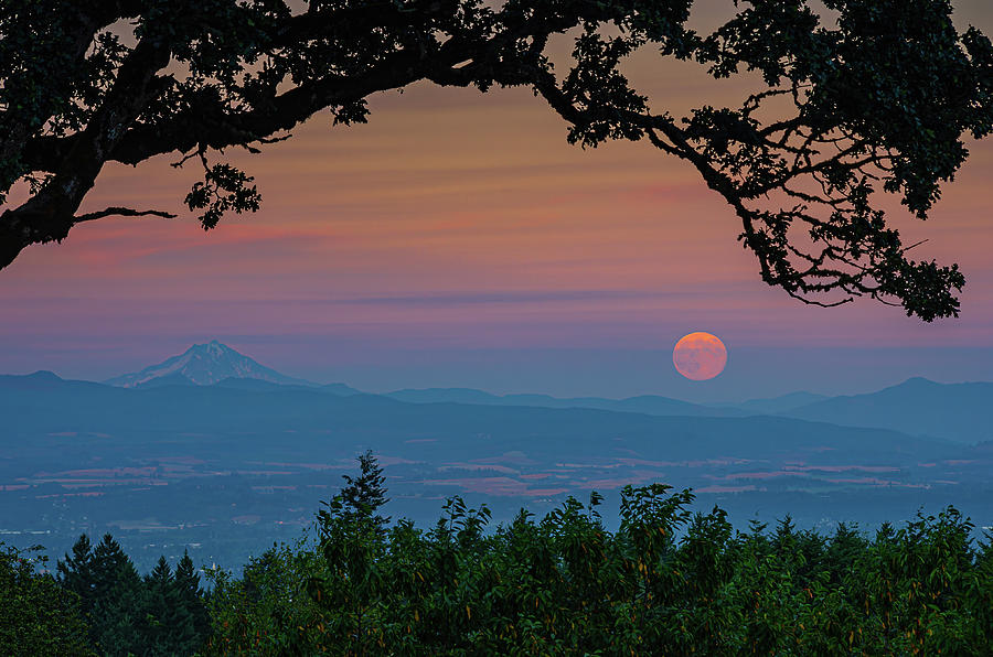 Moon rise over the Willamette Valley Photograph by Ulrich Burkhalter