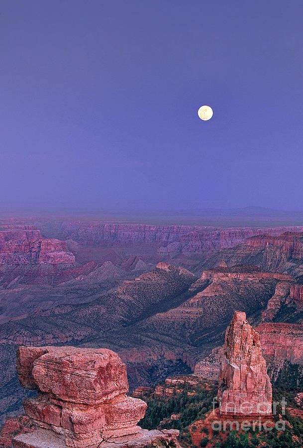 Moon Rise Point Imperial North Rim Grand Canyon Natio Photograph by Dave Welling