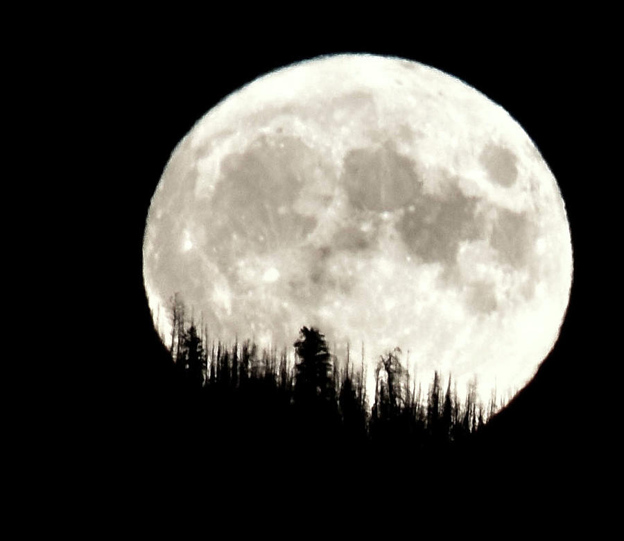 Moon Rise, Wyoming Photograph by Moris Senegor