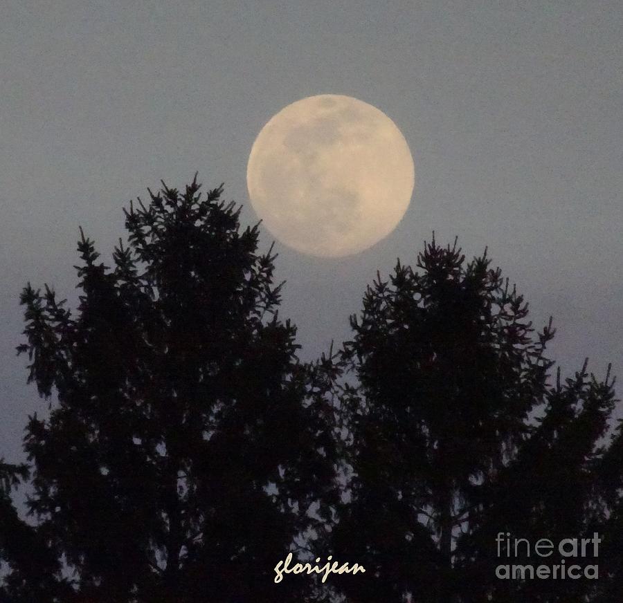 Moon Rising 3 evergreen SQ Photograph by GJ Glorijean - Fine Art America